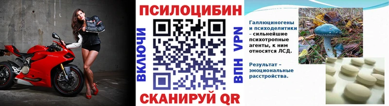 Псилоцибиновые грибы мухоморы  купить наркотики цена  нарко площадка как зайти  Устюжна 